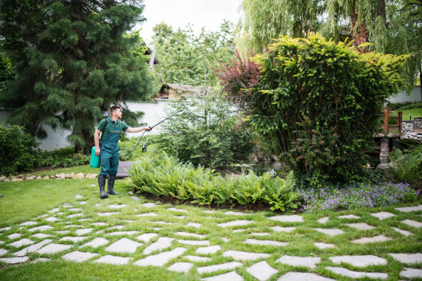 Best Best Pest Control Companies  in Farmington, MN