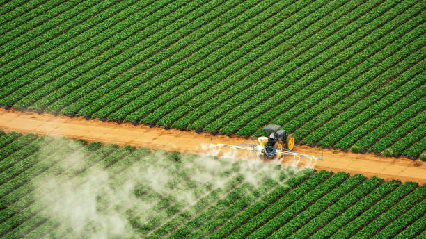 Best Affordable Exterminators  in Farmington, MN